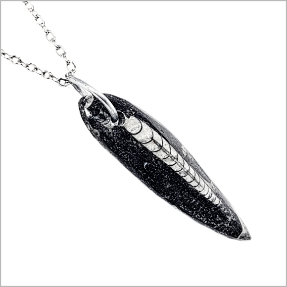 Jewelry - .Genuine Orthoceras Fossil Pendant with Stainless Steel Necklace